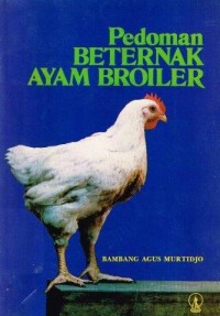 Pedoman Beternak Ayam Broiler